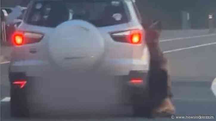 Huis van Belgische man in brand na gruwelijke dood hond