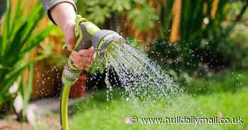 What you can and can't do as Yorkshire Water introduces hosepipe restrictions from Friday