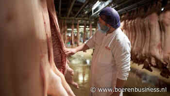 Compaxo ziet resultaat herstellen in 2024