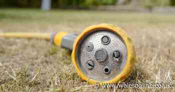 UK's first hosepipe ban of summer coming into force on Friday