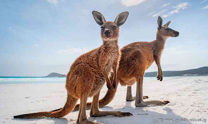Australien: G‘Day Wildlife