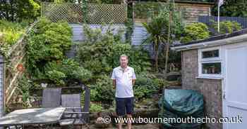 Beekeeper at war with neighbours after claims swarms are rendering gardens 'unusable'