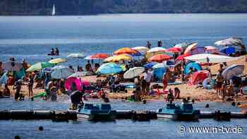 Nach Angriffen in Bayern: So gefährlich sind Welse für Badende