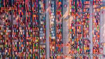 MSC, Maersk, Hapag-Lloyd: Warum die Reeder trotz Zollchaos glänzend verdienen
