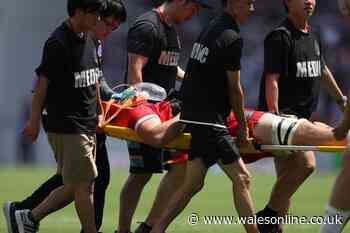 Wales star released from squad after concerning incident as statement issued