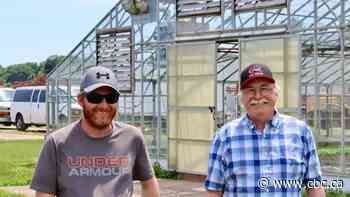 Protecting agricultural land is food security, says Ontario farm family backing private member's bill