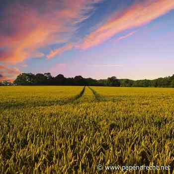 CDA Zuid-Holland: € 1 miljoen extra voor toekomstbestendige landbouw
