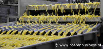 Clarebout bouwt fritesfabriek in Peking