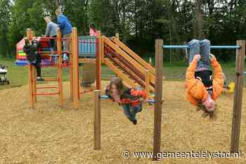 Top 5 van spelfuncties bekend voor speelplek Esdoornpark
