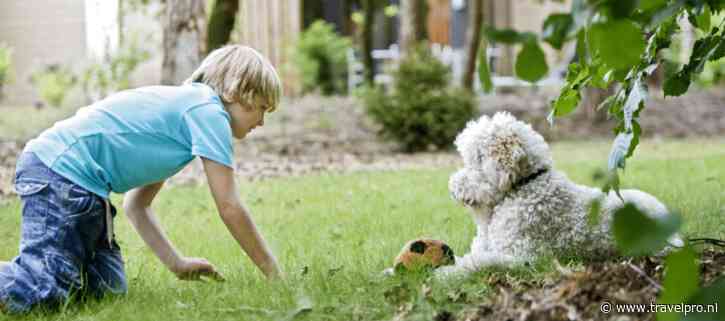 Center Parcs introduceert Premium Honden Cottages