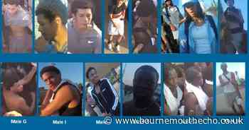 Images of 12 men released after fight which hospitalised teenage girl