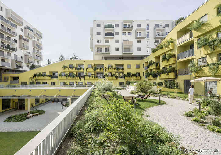 Auf sozialem Terrain - Wohnensemble in Wien von querkraft architekten