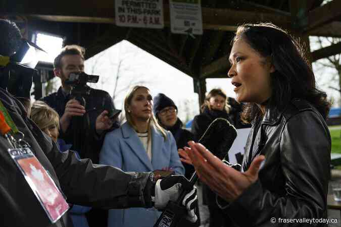 Few Canadians are familiar with possible NDP leadership contenders: poll