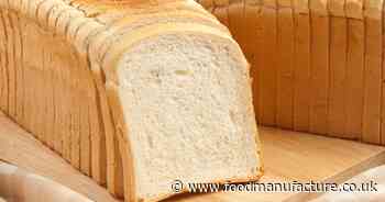 Defatted sunflower seed flour offers ‘promising option’ for enriching bread