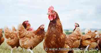 Court permits judicial review against Defra over chicken handling law