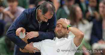 Wimbledon update issued after star collapsed in front of shocked centre court crowd