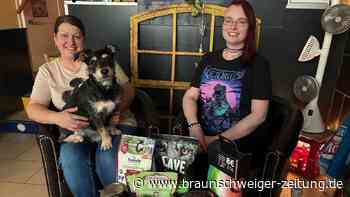 Wenn das Geld fürs Haustier knapp ist: Braunschweig bekommt Tiertafel