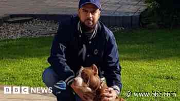 Man sentenced for 'barbaric cruelty' towards dogs