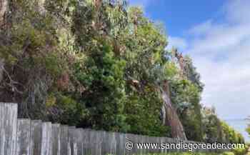 Del Mar wants the views – bu the Torrey Pines and Monterey Cypresses, too