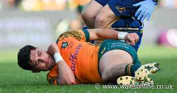 Tonight's rugby news as Australia suffer devastating blow on eve of Lions Test series