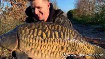 Complete visvijver van Nicky (44) sterft door algenbloei: “Technologie liet me in de steek”