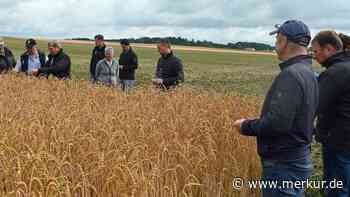 Ernterundfahrt durch den Landkreis Dachau: Wie die Hitze die Landwirtschaft verändert