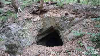 Bad Harzburg: Der Burgberg hat viele Geheimnisse zu bieten