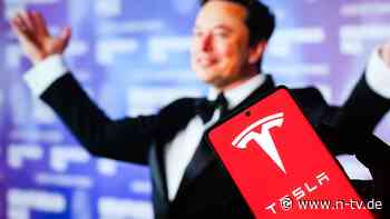 Musk nicht sonderlich erfreut: "Tesla-Bulle" legt Drei-Punkte-Plan für E-Autobauer vor