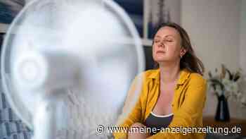 Richtiger Ventilatoren-Einsatz: So sorgen sie bei Hitze für Abkühlung