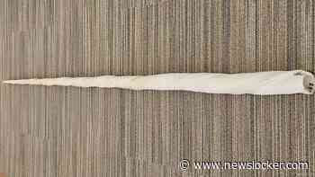 Slagtand narwal onder duizend ingeleverde voorwerpen in anonieme inleverbak