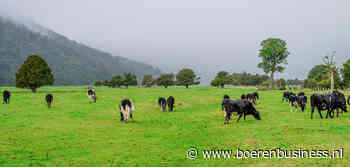 Boterprijs wordt zaak van politiek in Nieuw-Zeeland