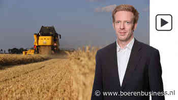 Lagere oogstraming helpt tarweprijs nog niet