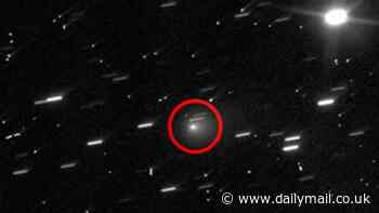 Harvard scientist warns 'hostile' alien craft could strike Earth in just months