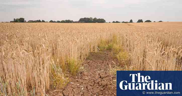 ‘Climateflation’ could push up UK food prices by more than a third by 2050, report says