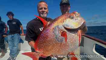 Fish Report: Bluefin near the Coronado Islands