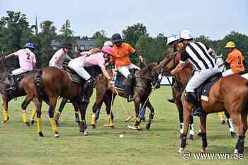 „Einzigartiges Event“: Polopicknick begeistert Sportler und Besucher