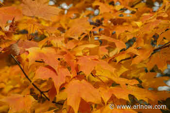 It’s time to think about your fall advertising