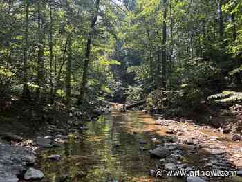 Morning Notes for July 28, 2025