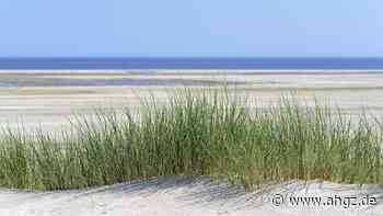 Tourismus: Was Einheimische von Urlaubern haben