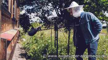 Wie klingt Schwaben? Bezirk ruft Fotowettbewerb aus