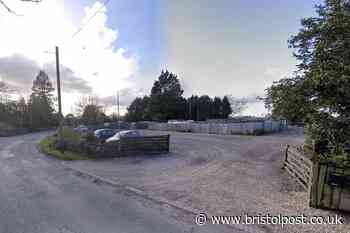 Café next to popular garden centre allowed to sell alcohol seven days a week