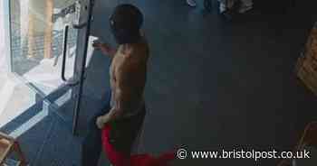 Bristol café worker repeatedly hit over the head in attack