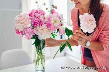 Keep flower bouquets fresh for weeks with 'game-changing' cutting trick