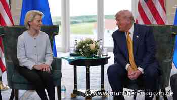 Zollstreit: Gewinner und Verlierer des Deals im Überblick