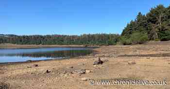 Fourth North East heatwave forecast for August as UK temperatures to hit 36°C