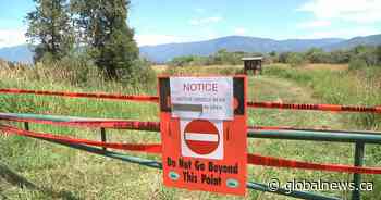 B.C. grizzly attack that injured man was ‘defensive,’ officials won’t capture or kill bears