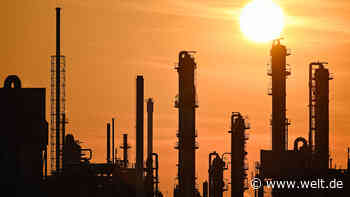 „Fatales Signal“ – So reagiert die Wirtschaft auf den Zoll-Deal mit den USA