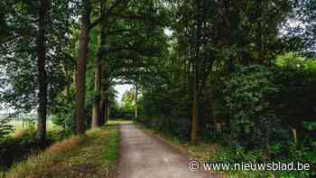 Plan om Herkenrodebossen met 135 hectare uit te breiden, maar daar is niet iedereen blij mee: “We bereiden acties voor”