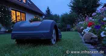 Bayreuth verhängt Nacht-Verbot für Mähroboter - "Killermaschine"