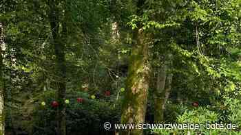Rossini-Festival Bad Wildbad: Eine Oper speziell für Kinder